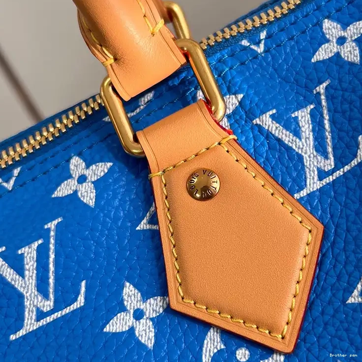 Brother sam 2401YA0022 LV Bags 0717